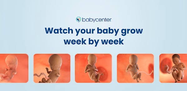 Pregnancy App & Baby Tracker Header - AppWisp.com