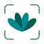 Plantfie・Plant Care Identifier - AppWisp.com