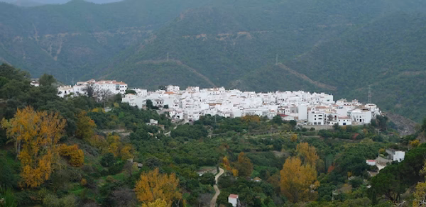 Guide of Istán Header - AppWisp.com Guide of Istán Header - AppWisp.com