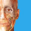 Human Anatomy Atlas 2026 - AppWisp.com