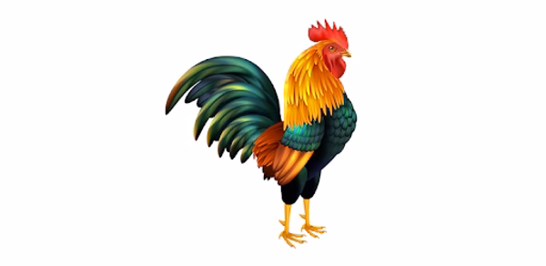 Kukdo Header - AppWisp.com Kukdo Header - AppWisp.com