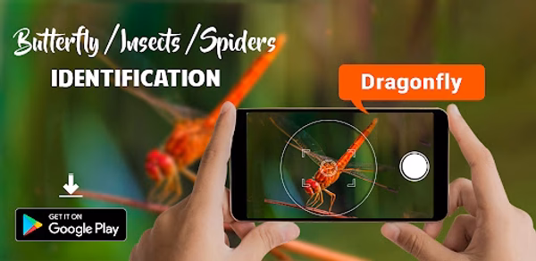 Bug Finder- AI Bug Identifier Header - AppWisp.com Bug Finder- AI Bug Identifier Header - AppWisp.com